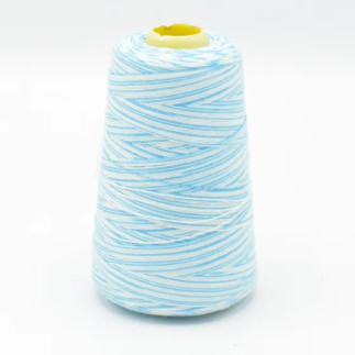 Overlock Thread Multicolor Aqua/White (Q101)