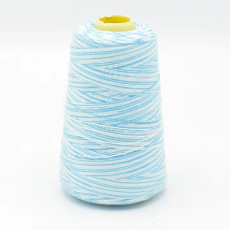 Overlock Thread Multicolor Aqua/White (Q101)