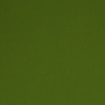 Jersey Vanessa khaki green (604)