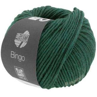 Lana Grossa - Bingo dark green melange (1028)
