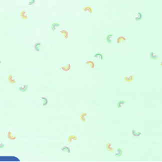 Reste - flanelle - Coton Cozy mini Rainbows menthe 90cm