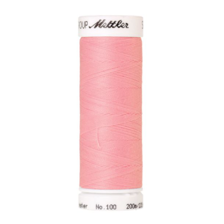 Seralon - 0082 - coquille - 200 m