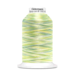 Gütermann bulk yarn multicolor light green (9963) Gütermann bulk yarn multicolor light green (9963)