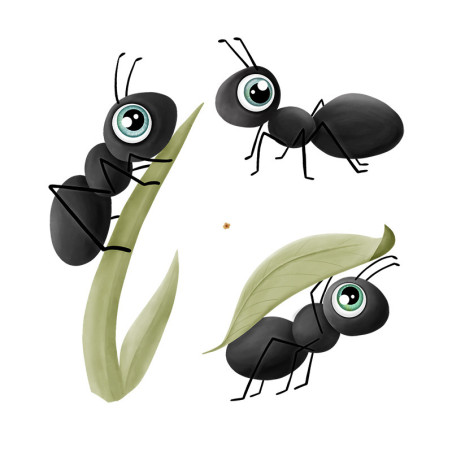 Iron-on transfers - Mrs Mint Design - Ants set small