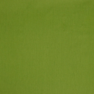 Baumwollpopline - grün (v044)