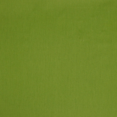 Baumwollpopline - grün (v044)