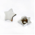 Bouton d'oie - Étoile argent métallique
