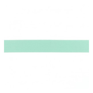 Elastic band - 25mm light mint