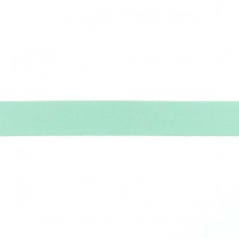 Elastic band - 25mm light mint