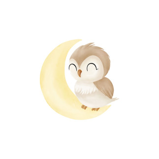 Transferts thermocollants - Mrs Mint Design - Moon Owl