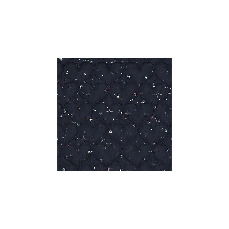 Foil Stepper - Coeurs Bleu Marine