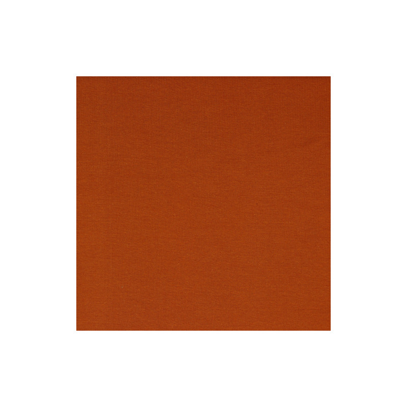 Bords côtes bio lisse terracotta (v23)