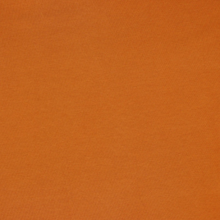 Biojersey terracotta (v23)