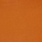 Biojersey terre cuite (v23)