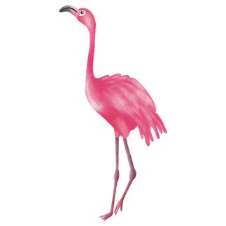 Bügelbilder - Mrs Mint Design - Flamingo