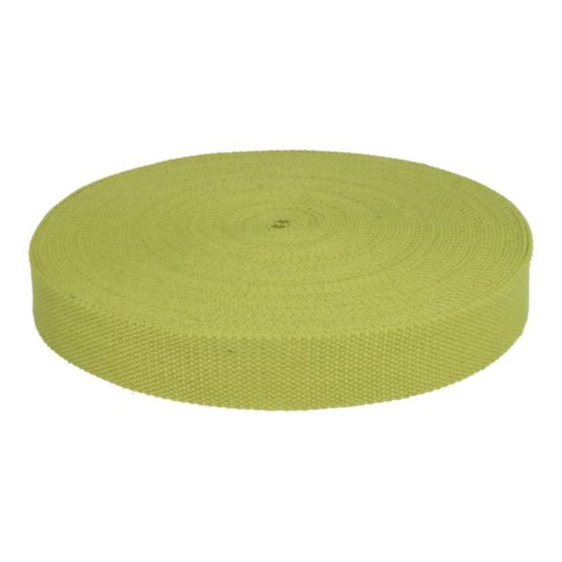 Webbing 25mm - pastel green (573)