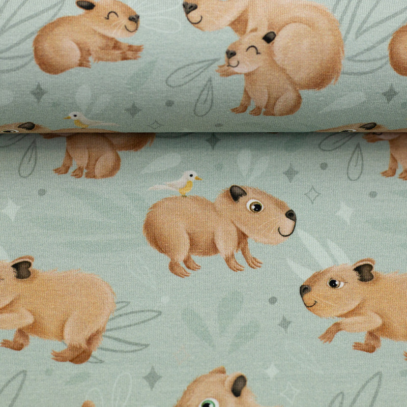 Jersey - Capybara Friends mint by Mrs Mint Design