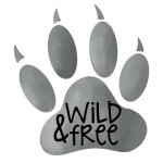 Iron-on transfers - Mrs Mint Design - Wild & Free Paw