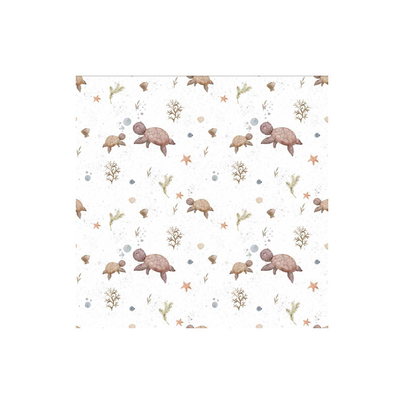 jersey bio - Tortue hareng blanc