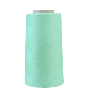 Overlock Machine Easy Use (D285)