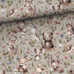 french terry - Fairytale Land Sage