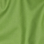 Canevas - Uni citron vert (v)