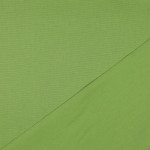 Canevas - Uni citron vert (v)