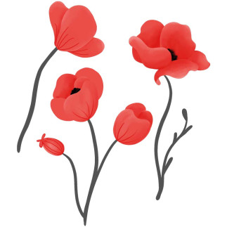 Iron-on transfers - Mrs Mint Design - Poppy set red