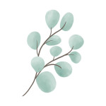 Bügelbilder - Mrs Mint Design - Eukalyptus