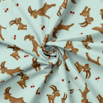 Jersey - Alpenzauber Steinbock mint