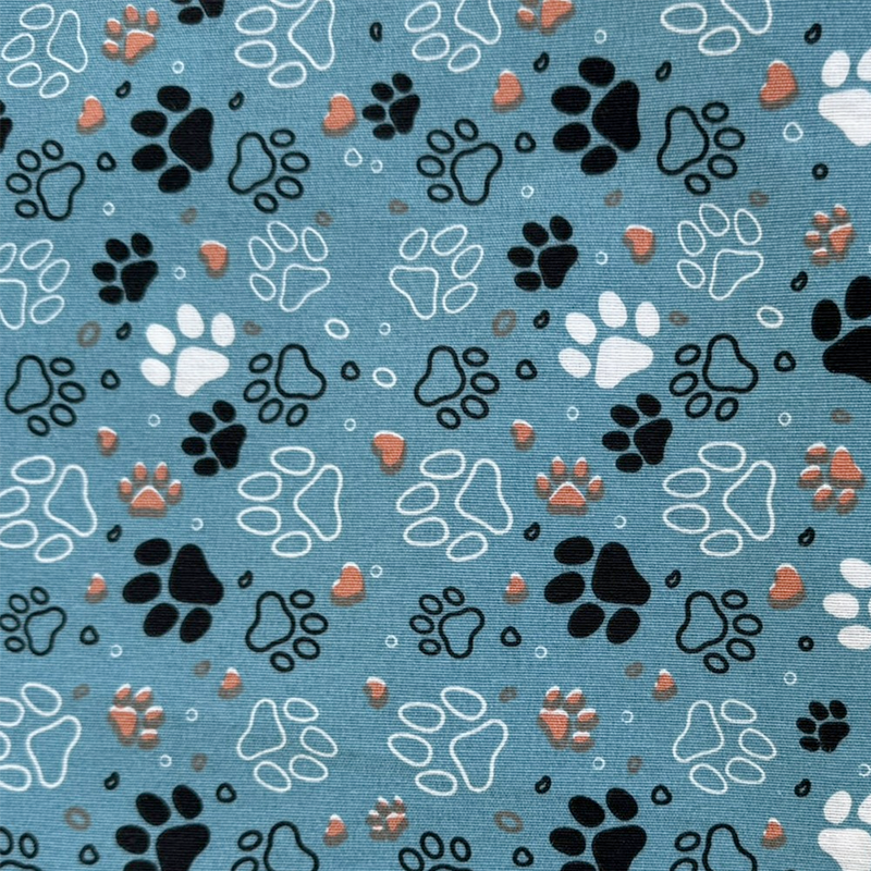 Décoration Canevas - pattes turquoise