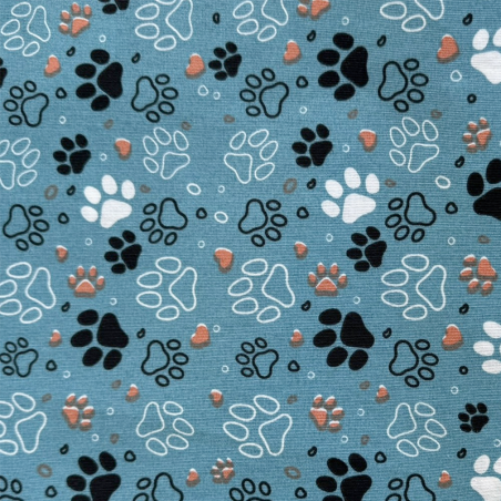 Décoration Canevas - pattes turquoise