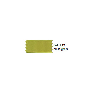 Bande satin 10 mm vert cresson (k817)