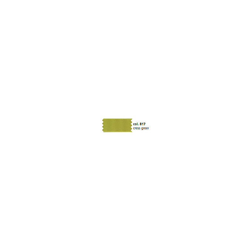 Bande satin 10 mm vert cresson (k817)