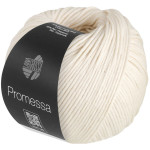 Lana Grossa - Promessa - cream (14)
