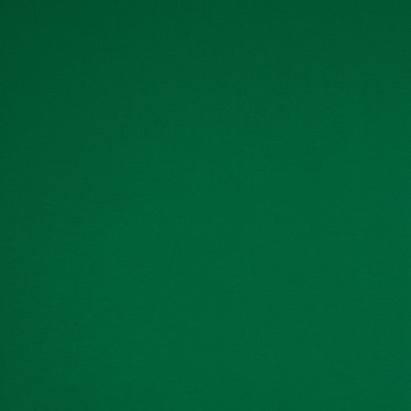 Jersey Vanessa grass green (365)