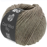 Lana Grossa - Cool Wool Big melange grey-brown (1621)
