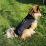 Fadenkäfer - Allwettermantel Hunde