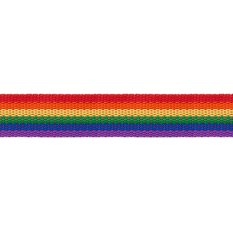 Webbing 25mm - Rainbow