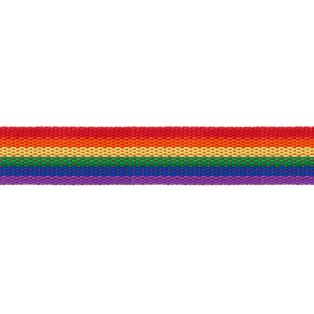 Webbing 25mm - Rainbow