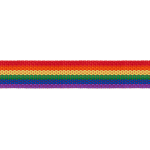 Sangle 25 mm - Arc-en-ciel