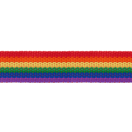 Gurtband 30mm - Regenbogen