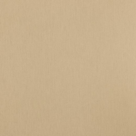 Coton popeline - sable (v)