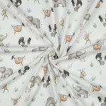 Baumwolle - Safari Animals weiss
