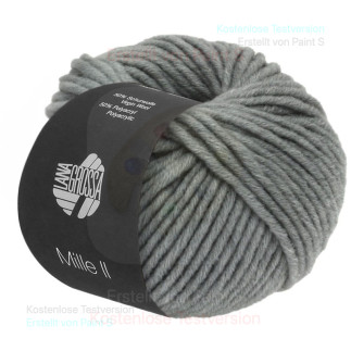 Lana Grossa - Mille II gris clair (43)