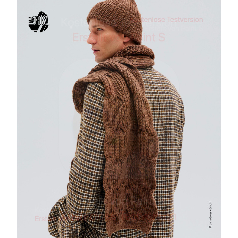 E-Book - SCHAL COOL WOOL BIG
