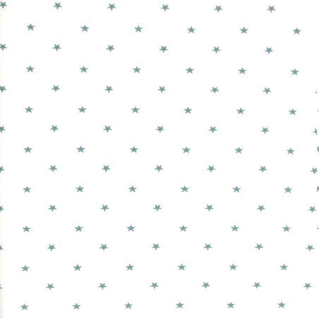Jersey - Mini Stars rauchmint auf weiss