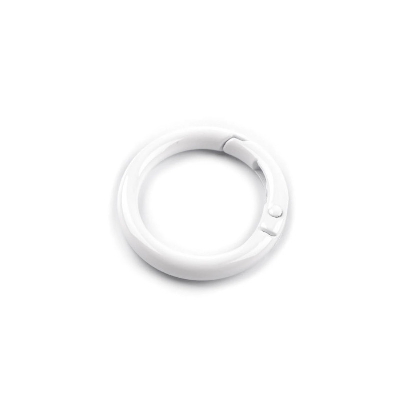 copy of Pocket carabiner Oval rainbow