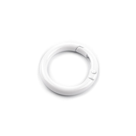 copy of Pocket carabiner Oval rainbow