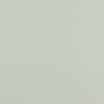 Canvas - Plain off-white (v)